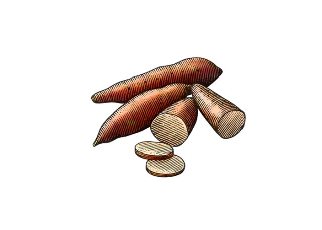 Sweet Potatoes Woodcut